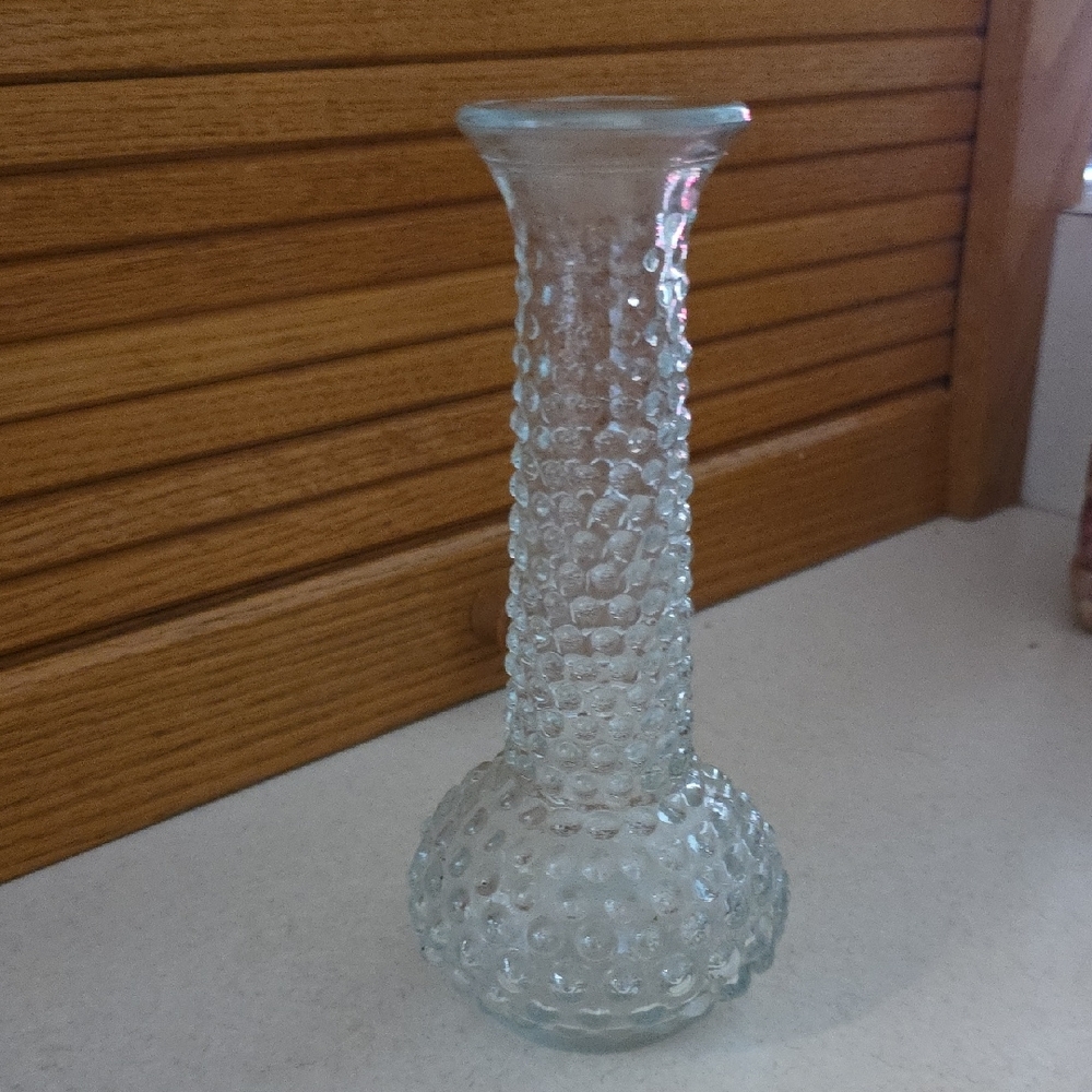 Elegant Clear Glass Vase